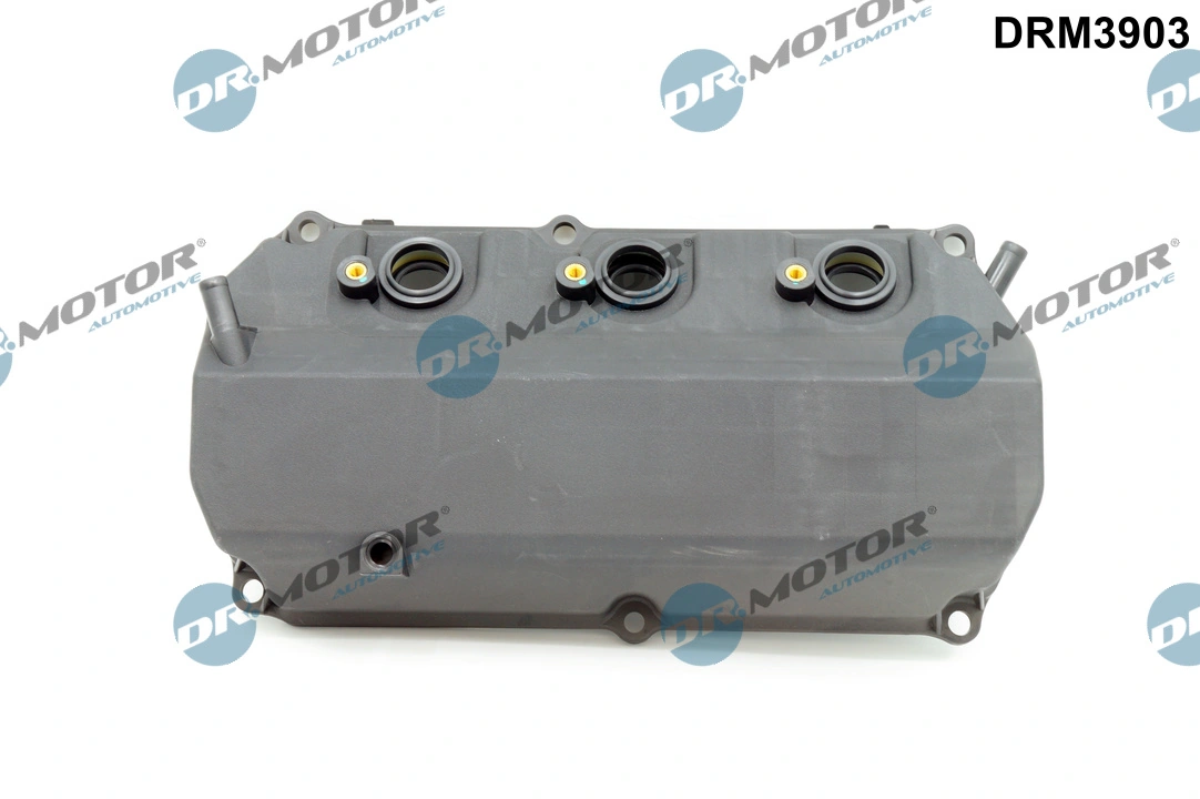 Intake Manifold Module